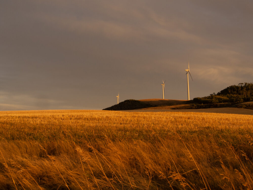Windmill Renewable Energy